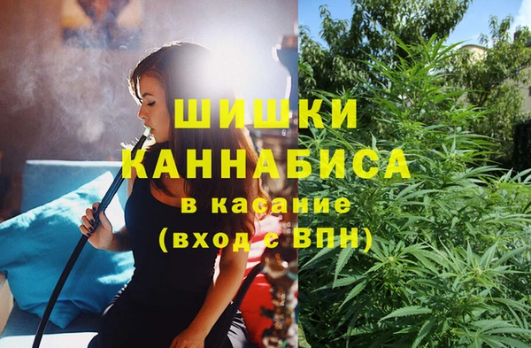 гашик Алексеевка