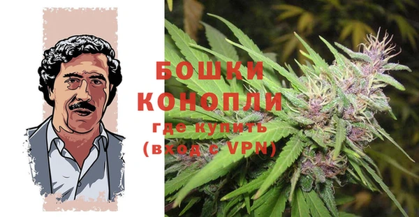 ешки Алексин