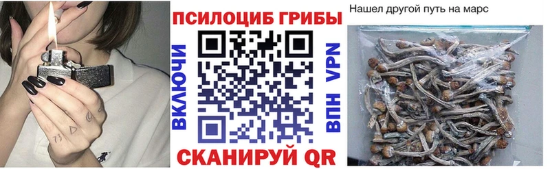кракен tor Тарко-Сале Галлюциногенные грибы мухоморы